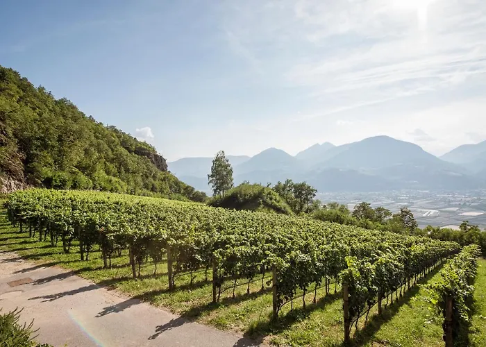 شقة Weingut Eichenstein *