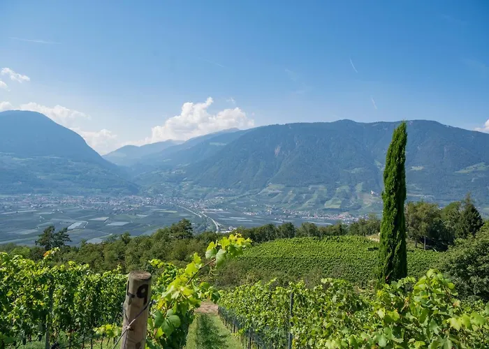 شقة Weingut Eichenstein ميرانو